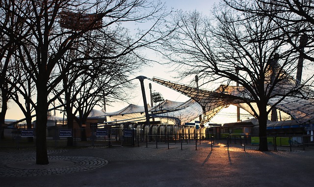 樊振东凭啥圈粉？王涛不教打球教做人，低调中的伟大！